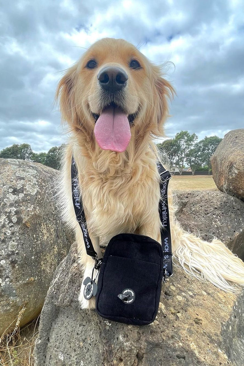 lululemon dog backpack nano Midnight Pooch Pouch – Wags & Whisky